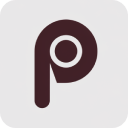 Perplexity to Notion